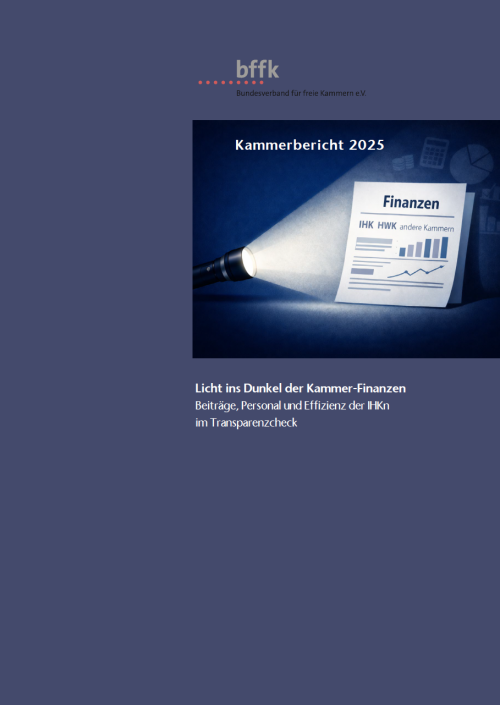 Kammerbericht 2025